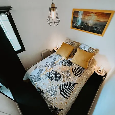 Appartement Cap D'agde Appart. 4/6 Pers. Avec Jardin, Piscine.
